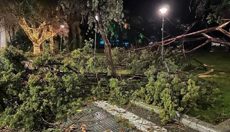 Αλεξανδρούπολη