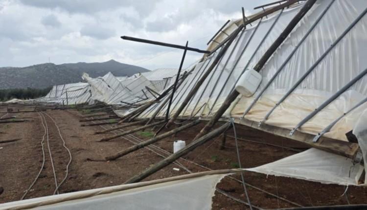 θερμοκήπιο