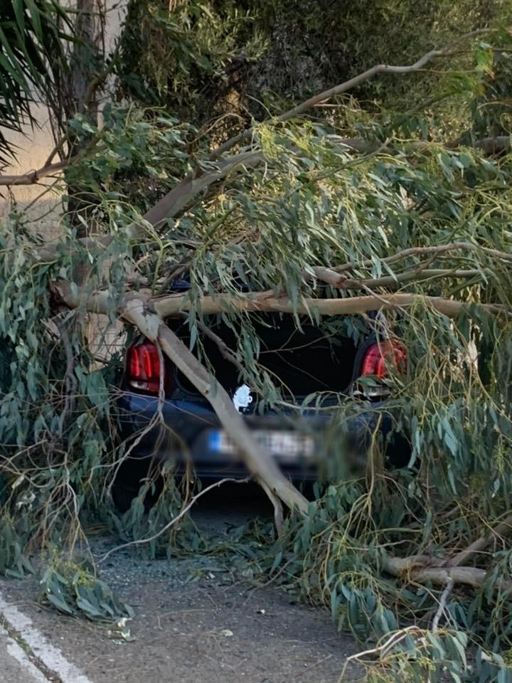 Ηράκλειο: Δέντρο καταπλάκωσε αυτοκίνητο - Δεκάδες παρεμβάσεις από τις Αρχές 3 Ηράκλειο: Δέντρο καταπλάκωσε αυτοκίνητο - Δεκάδες παρεμβάσεις από τις Αρχές