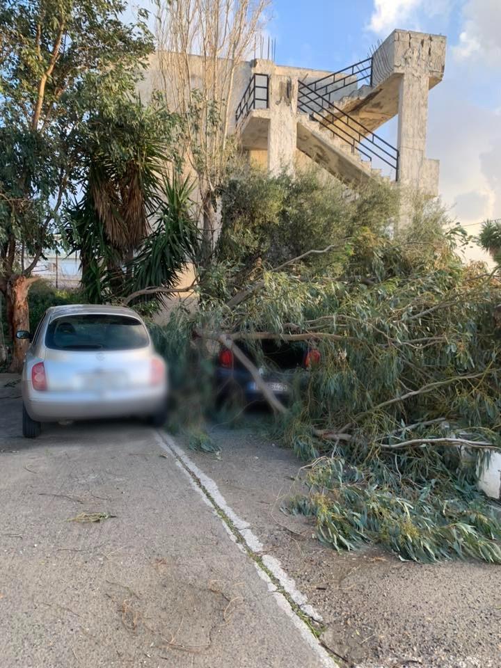 Ηράκλειο: Δέντρο καταπλάκωσε αυτοκίνητο - Δεκάδες παρεμβάσεις από τις Αρχές 4 Ηράκλειο: Δέντρο καταπλάκωσε αυτοκίνητο - Δεκάδες παρεμβάσεις από τις Αρχές