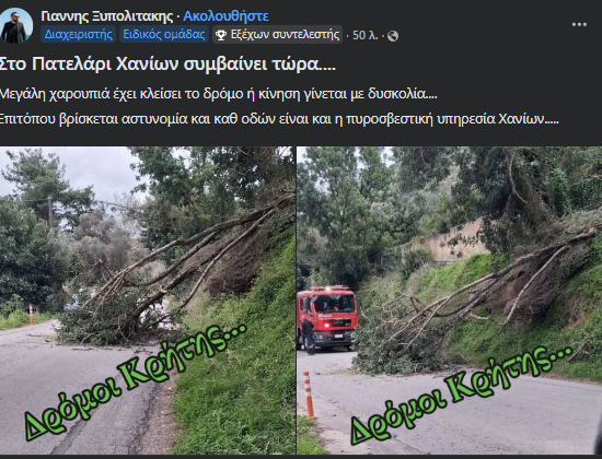 Κρήτη: Χαρουπιά έπεσε στο οδόστρωμα στο Πατελάρι και προκάλεσε κυκλοφοριακά προβλήματα!