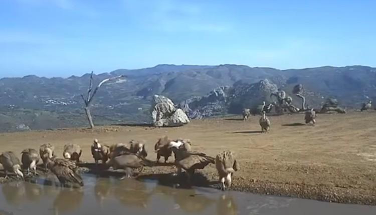 παρατηρητήριο