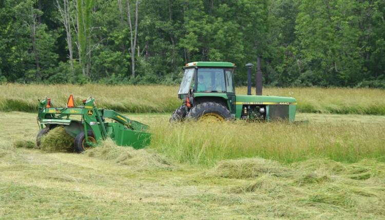 ακαθάριστα οικόπεδα