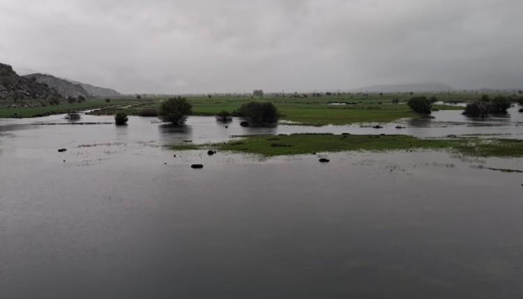 Αποσελέμης