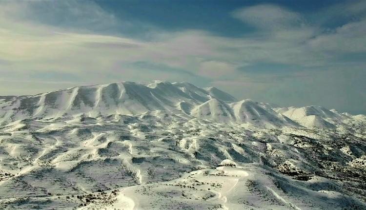 Ψηλορείτης