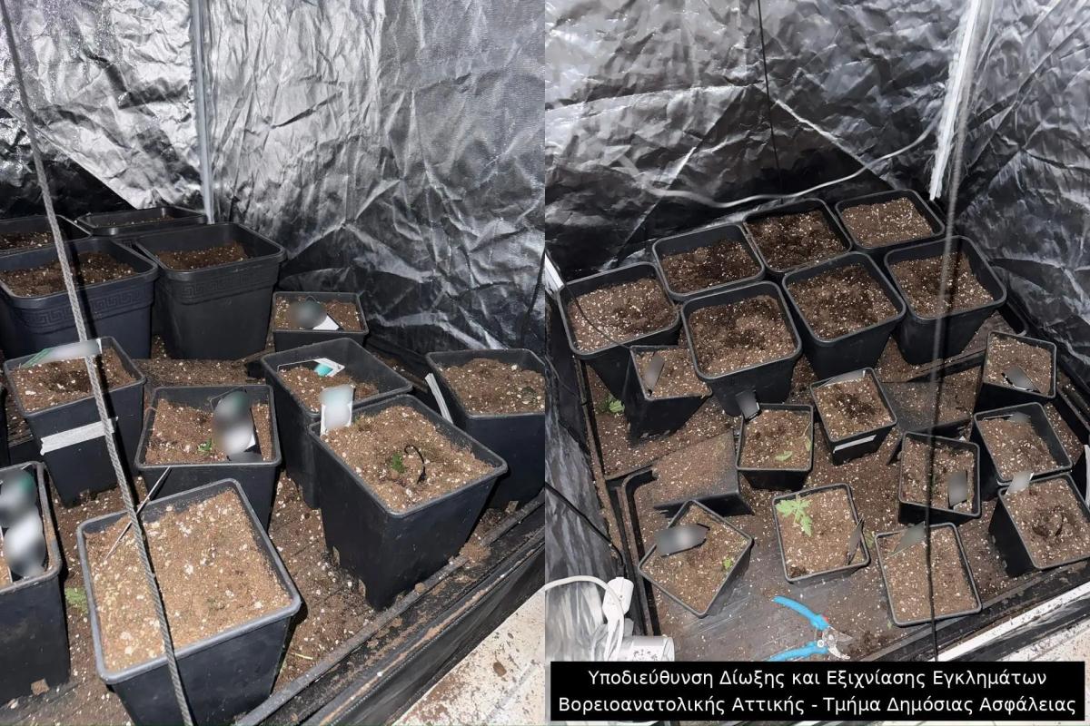 Σπείρα «φαντομάδων» σε καταστήματα ηλεκτρονικών: Πώς «χτυπούσαν» σε Ηράκλειο και Χανιά – 25 κλοπές σε όλη την Ελλάδα!