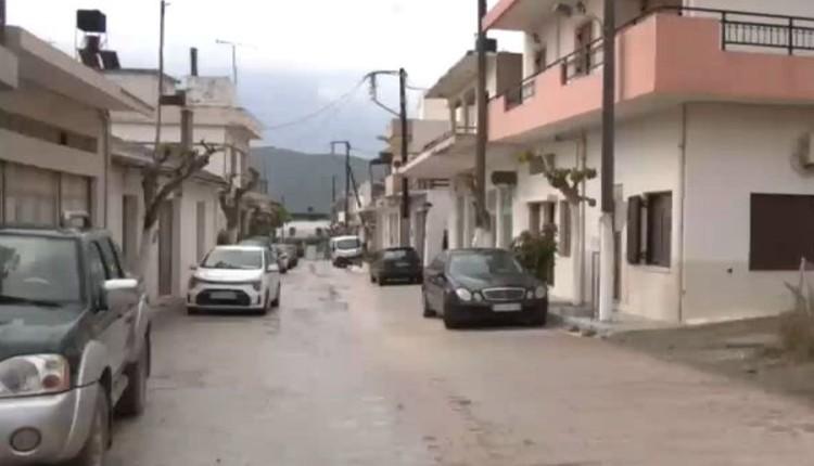 Σκινιάς