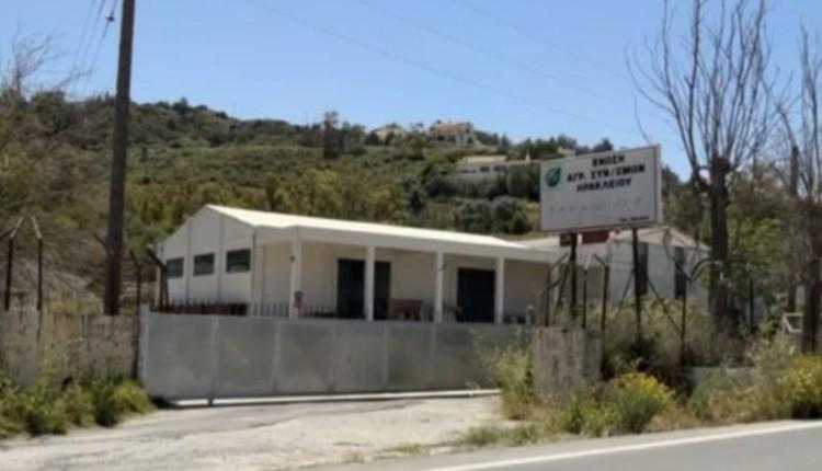 Μαλάδες