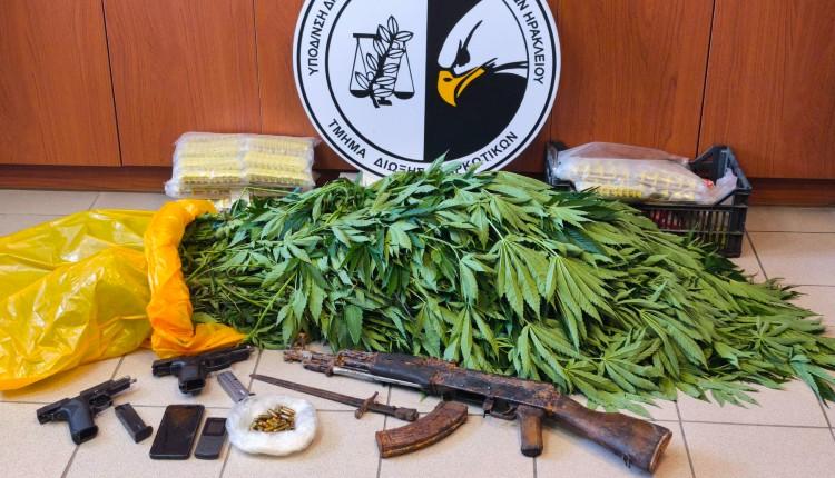 Ηράκλειο: 80χρονος «αγρότης» κάνναβης συνελήφθη να περιποιείται τη φυτεία του - Βρήκαν πιστόλια και καλάσνικοφ! 4 Ηράκλειο: 80χρονος «αγρότης» κάνναβης συνελήφθη να περιποιείται τη φυτεία του - Βρήκαν πιστόλια και καλάσνικοφ!