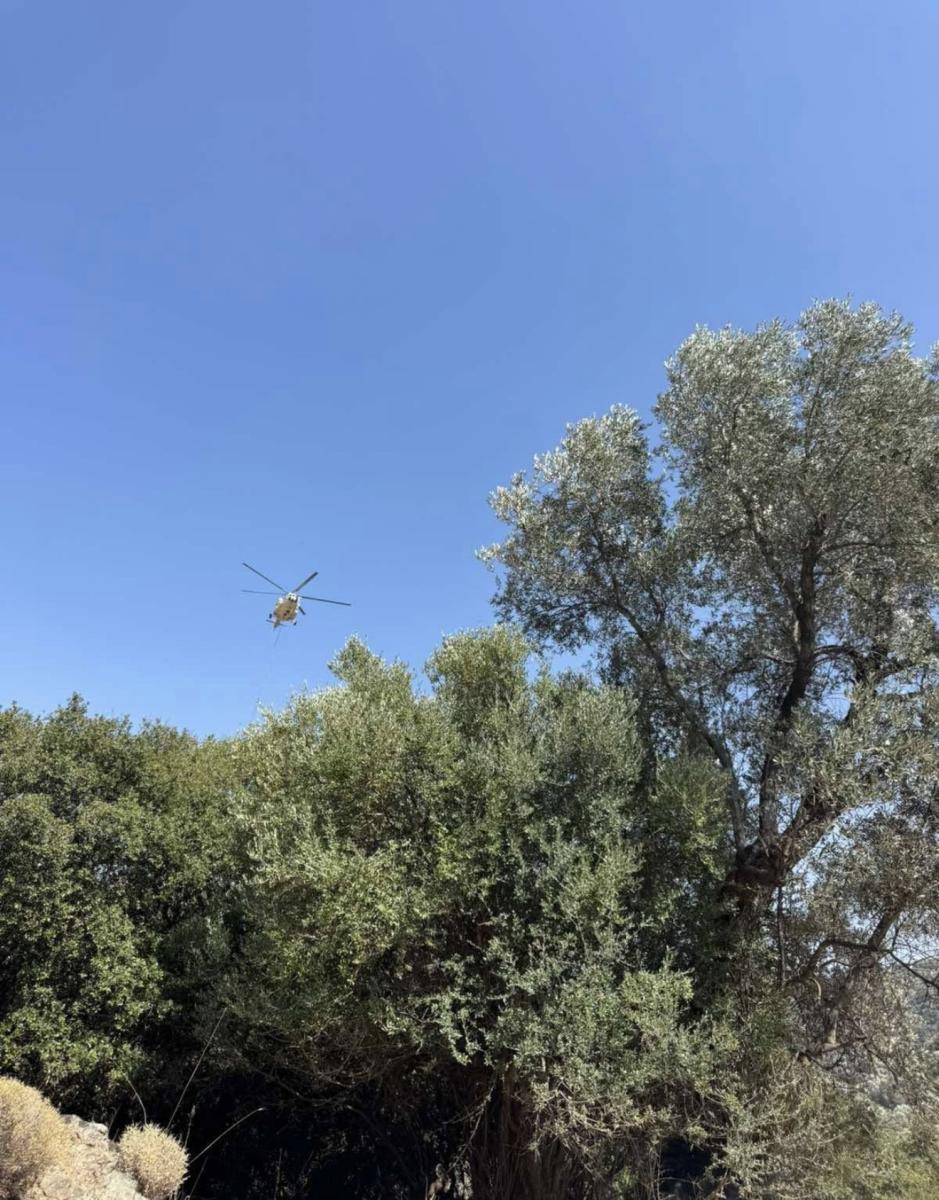 Βορίζια: Η συνεργασία Πυροσβεστικής, Δήμου και κατοίκων έσωσε τον οικισμό - Μια ανάσα από τα σπίτια πρόλαβαν τη φωτιά 4 Βορίζια: Η συνεργασία Πυροσβεστικής, Δήμου και κατοίκων έσωσε τον οικισμό - Μια ανάσα από τα σπίτια πρόλαβαν τη φωτιά