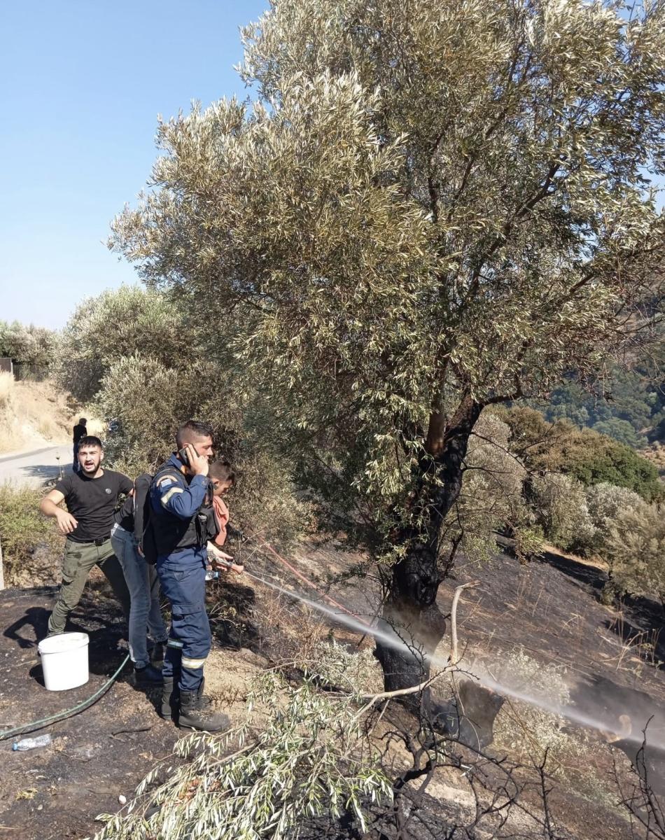 Βορίζια: Η συνεργασία Πυροσβεστικής, Δήμου και κατοίκων έσωσε τον οικισμό - Μια ανάσα από τα σπίτια πρόλαβαν τη φωτιά 6 Βορίζια: Η συνεργασία Πυροσβεστικής, Δήμου και κατοίκων έσωσε τον οικισμό - Μια ανάσα από τα σπίτια πρόλαβαν τη φωτιά