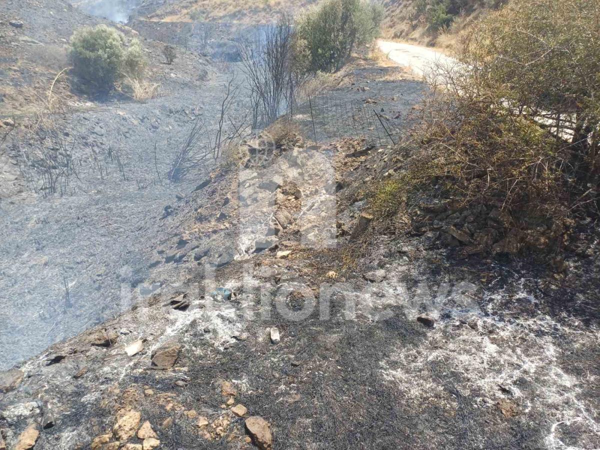 Συναγερμός στη Μεσαρά: Μήνυμα του 112 για τη μεγάλη φωτιά – Επιχειρούν δύο εναέρια μέσα - Εικόνες και βίντεο
