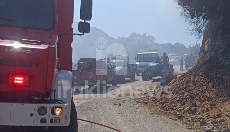 Μεσαρά: Υπό έλεγχο η φωτιά στα Βορίζια – Παραμένουν ισχυρές πυροσβεστικές δυνάμεις στην περιοχή - Δείτε εικόνες 4 Μεσαρά: Υπό έλεγχο η φωτιά στα Βορίζια – Παραμένουν ισχυρές πυροσβεστικές δυνάμεις στην περιοχή - Δείτε εικόνες