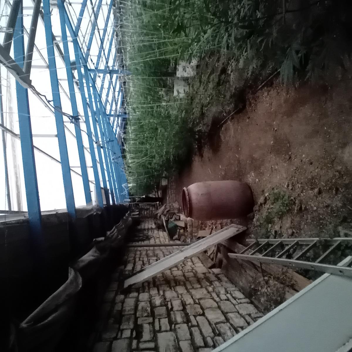 Κρήτη: Η φυτεία των 640 δενδρυλλίων αποκάλυψε νέα υδροπονική καλλιέργεια έναν χρόνο μετά – Συνελήφθη 60χρονος 4 Κρήτη: Η φυτεία των 640 δενδρυλλίων αποκάλυψε νέα υδροπονική καλλιέργεια έναν χρόνο μετά – Συνελήφθη 60χρονος