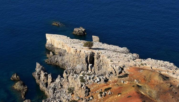 δέντρο