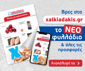 ΧΑΛΚΙΑΔΑΚΗΣ Νέο φυλλάδιο