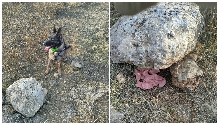 δολώματα