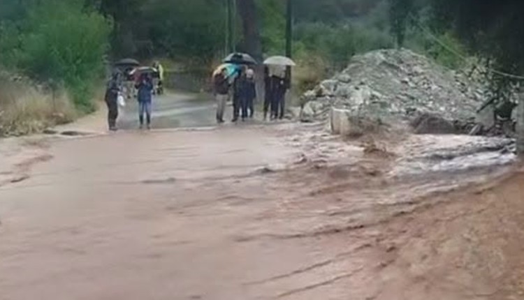 Ζωνιανά